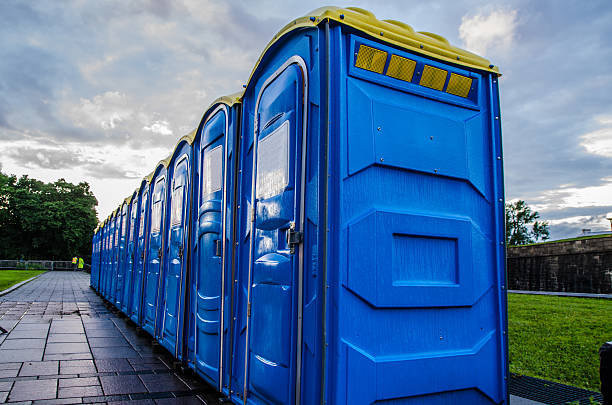 Best Affordable portable toilet rental  in La Cygne, KS